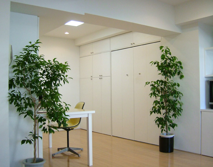 shirokane2